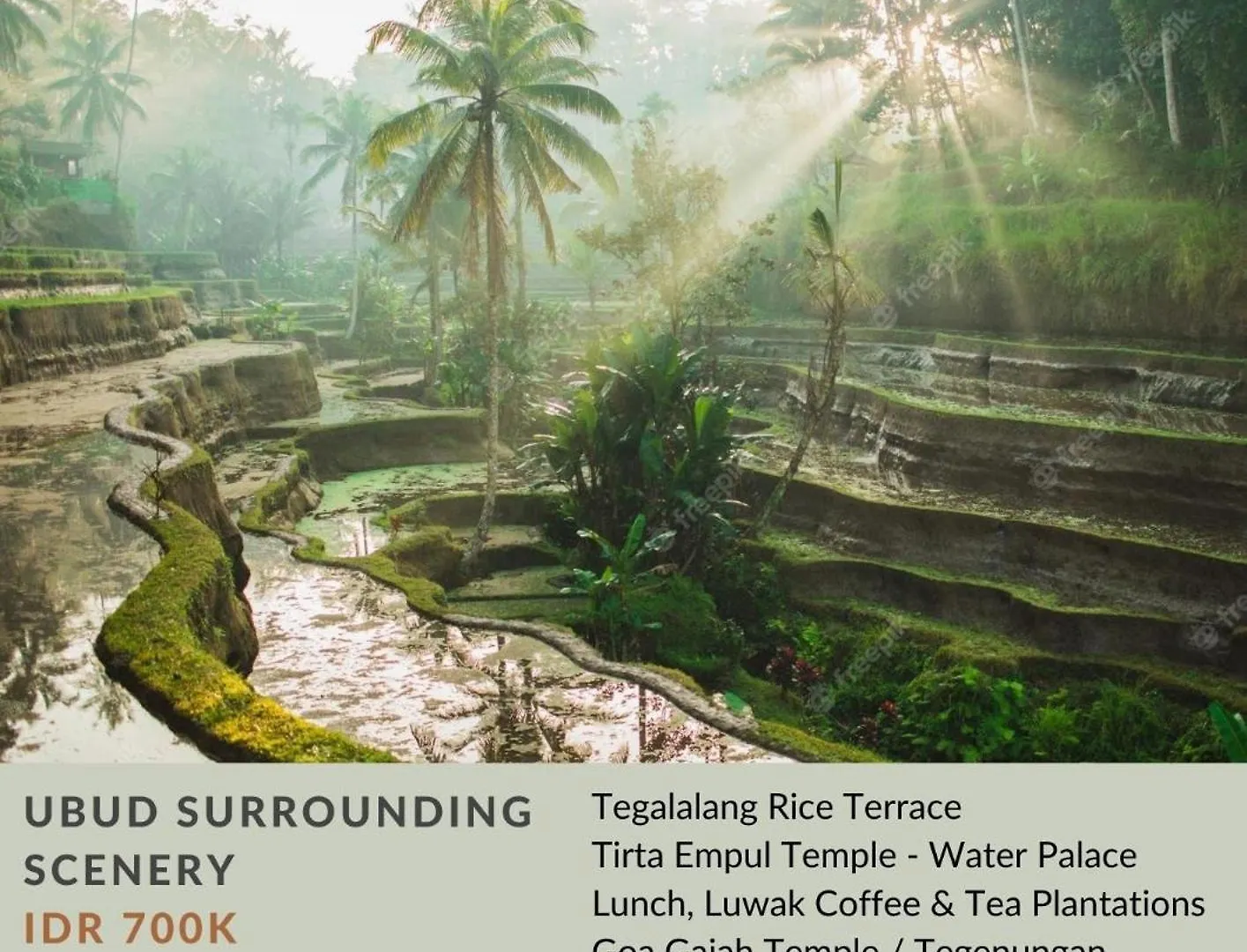 Luxury Villa In City Center W/ Natural Pool La Bohemia Residence Villas Ubud 0*,  Indonesien